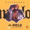 Abo Mvelo (feat. Mellow & Sleazy & M.J) - Daliwonga lyrics