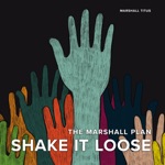 Shake It Loose - Single