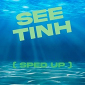 See Tinh (Remix) artwork