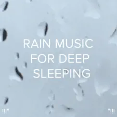 Fall Asleep Rain Song Lyrics