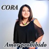 Amor Prohibido - Single