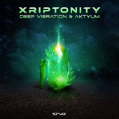 Xriptonity artwork