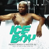 Ice Boy (feat. CK the Dj & Leon Lee) artwork