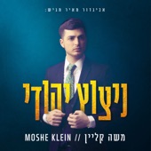 דבר נאה ומתקבל artwork