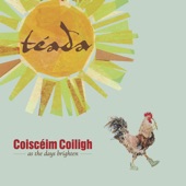 Coiscéim Coiligh - As The Days Brighten artwork