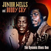 The Dynamic Blues Duo artwork