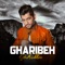 Gharibeh - Sadriddin lyrics