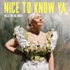 Nice To Know Ya - Single