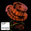 Slow - Single