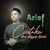 Cintaku Kau Anggap Debu - Single