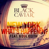New York, What's Happenin'? (feat. Kool Keith) [Instrumental] artwork