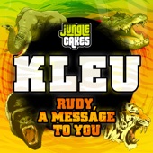 Rudy, A Message to You artwork