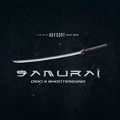 SAMURAI artwork