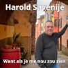 Want als je me nou zou zien - Single