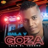 Baila Y Goza - Single