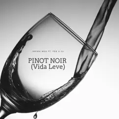 Pinot Noir (Vida Leve) - Single by Anima Mea & Fer & Ju album reviews, ratings, credits