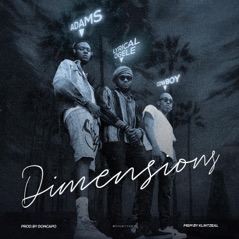 Dimensions (feat. Lyrical Ogele & Cowboy) - Single