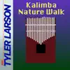Kalimba Nature Walk (Extended Version) [Extended Version] album lyrics, reviews, download