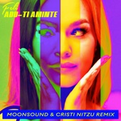 Adu-ti aminte (MoonSound & Cristi Nitzu Remix) artwork
