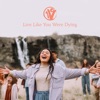 Live Like You Were Dying - Single