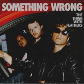 The Thing With Feathers - Something Wrong
