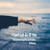 I Can't Let Go of You - Single