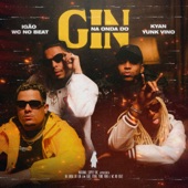 Na Onda do Gin (feat. Kyan) artwork