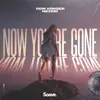 Now You're Gone song lyrics