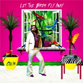Let the Birds Fly Away (Special Disko Mix) artwork