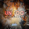 Un foc - Single