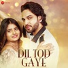 Dil Tod Gaye - Single