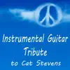 Instrumental Guitar Tribute to Cat Stevens album lyrics, reviews, download