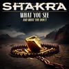 What You See (And What You Don't) - Single