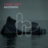 Seatbelts artwork