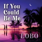 If You Could Be Me artwork