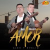 Mi Gran Amor - Single