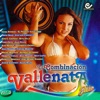 La Combinacion Vallenata Elite Vol. 5, 2001