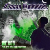 Linnan kummitus (feat. Eevil Stöö & Kalevi Helvetti) artwork