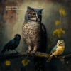 Birds, Oxes & Cats - Single