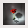If You're Out There - EP