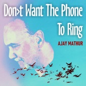 Don't Want the Phone To Ring (Radio Edit) artwork