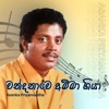 Wandanawe Amma Giya - Single