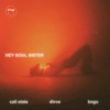 Hey Soul Sister - Single