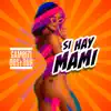 Si Hay Mami - Single album lyrics, reviews, download
