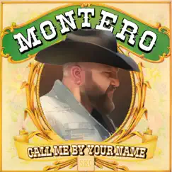 Montero (Country and Western Cover) [Call Me by Your Name] - Single by Stephen Kramer Glickman album reviews, ratings, credits