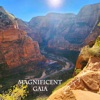 Magnificent Gaia - Single