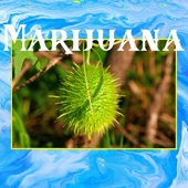 Together Pangea - Marijuana