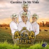 Cariñito De Mi Vida - Single