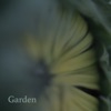 Secret Garden - Single