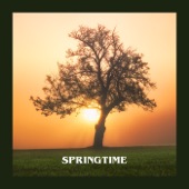 Springtime - EP artwork